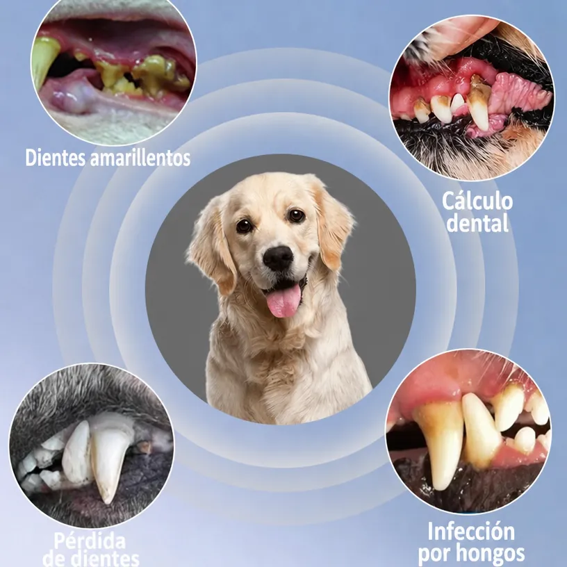 Limpiador Dental Ultrasónico para Perros y Gatos - Image 2